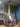 Aaron_Tremper_-_Tremper_Guitars_-_Scratch_Finished-1.jpg