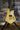 Earthly_Guitars_-_Scratch_Build_10_of_10.jpg