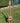 Eric_Mangle_-_Mangled_Guitars_-_Kit_Professional_2_of_7.jpg