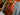 Trent_Wessler_scratch_final_9.JPEG