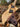 TunguskaGuitars_Phoenix-Scratch2023FINAL-04.jpg