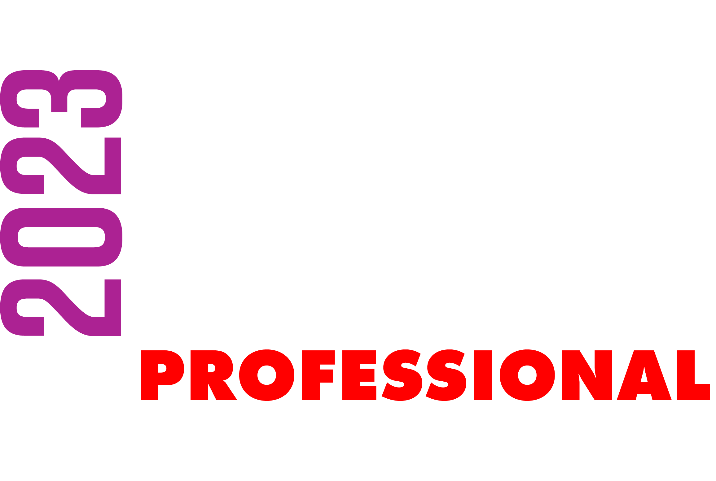 Enter the Scratch Professional Build Category 2023